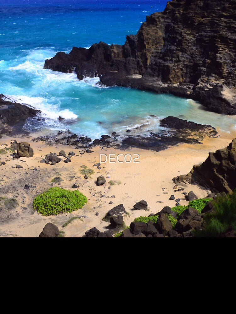 Hidden Hideaway Hawaiian Island Tropical Exotic Beach by DEC02