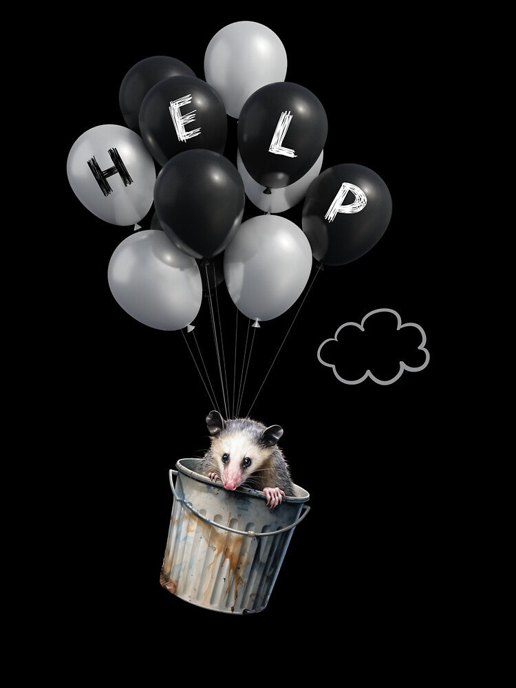 Flying Opossum by Viking60North