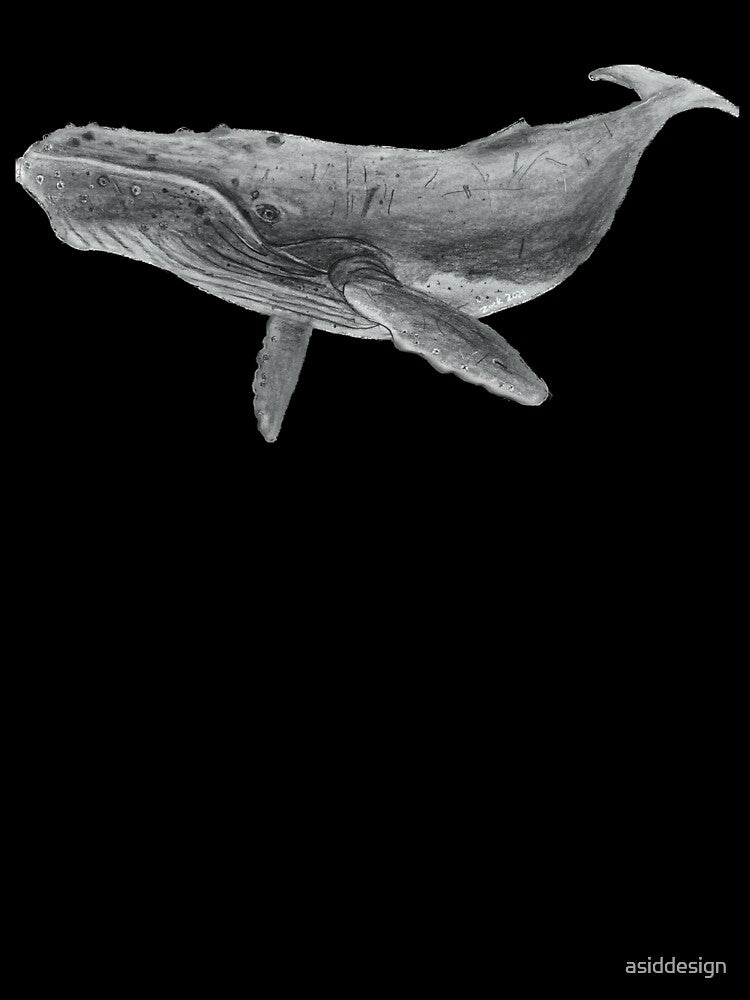 Zack’s humpback whale by asiddesign