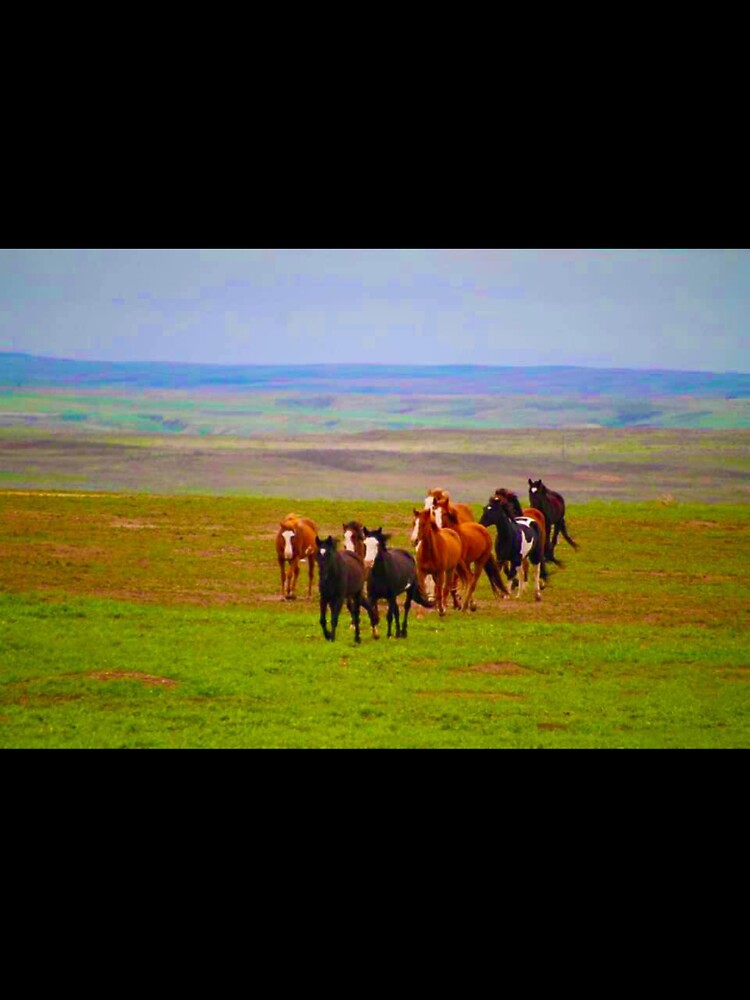 Horse Herd by LisaMPierce1990
