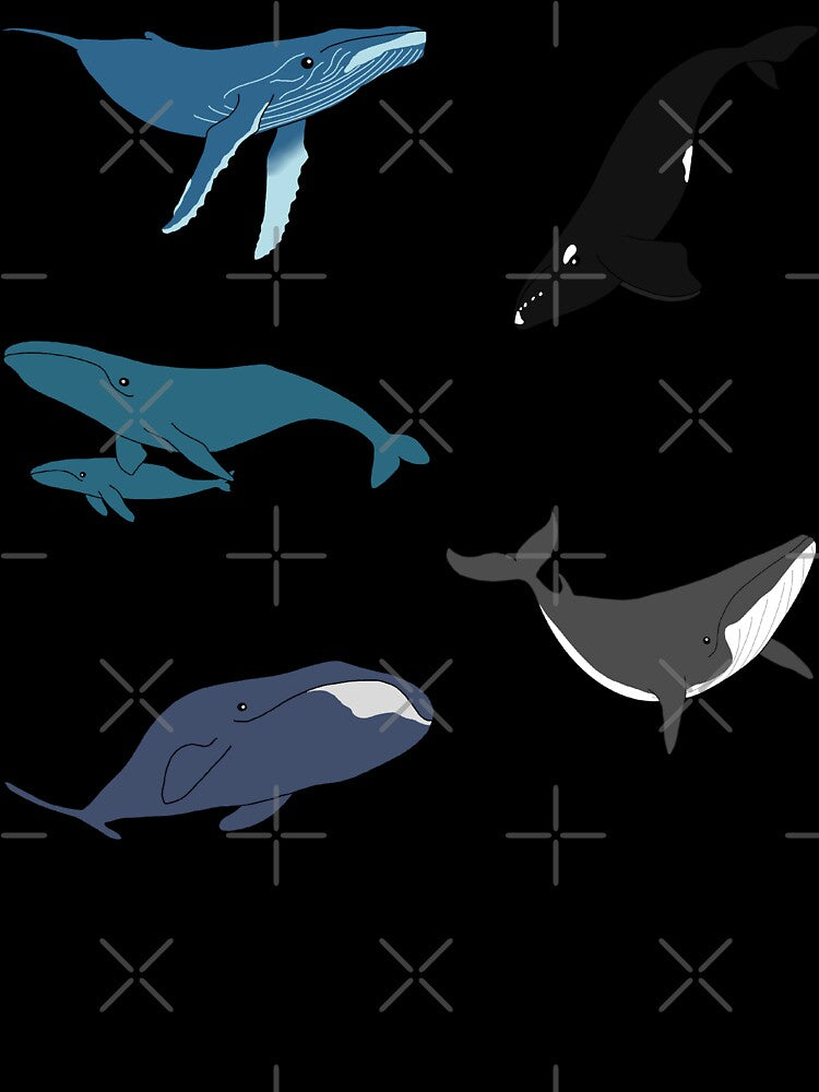 Whales by Leapingdoe