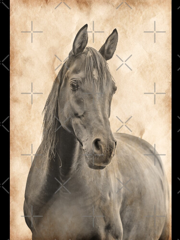 Curious brown Arabian horse blended on old paper by NickoPrints