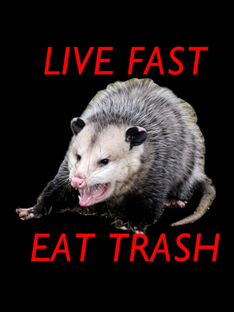 Live Fast! Eat Trash! Possum by royalblewitup