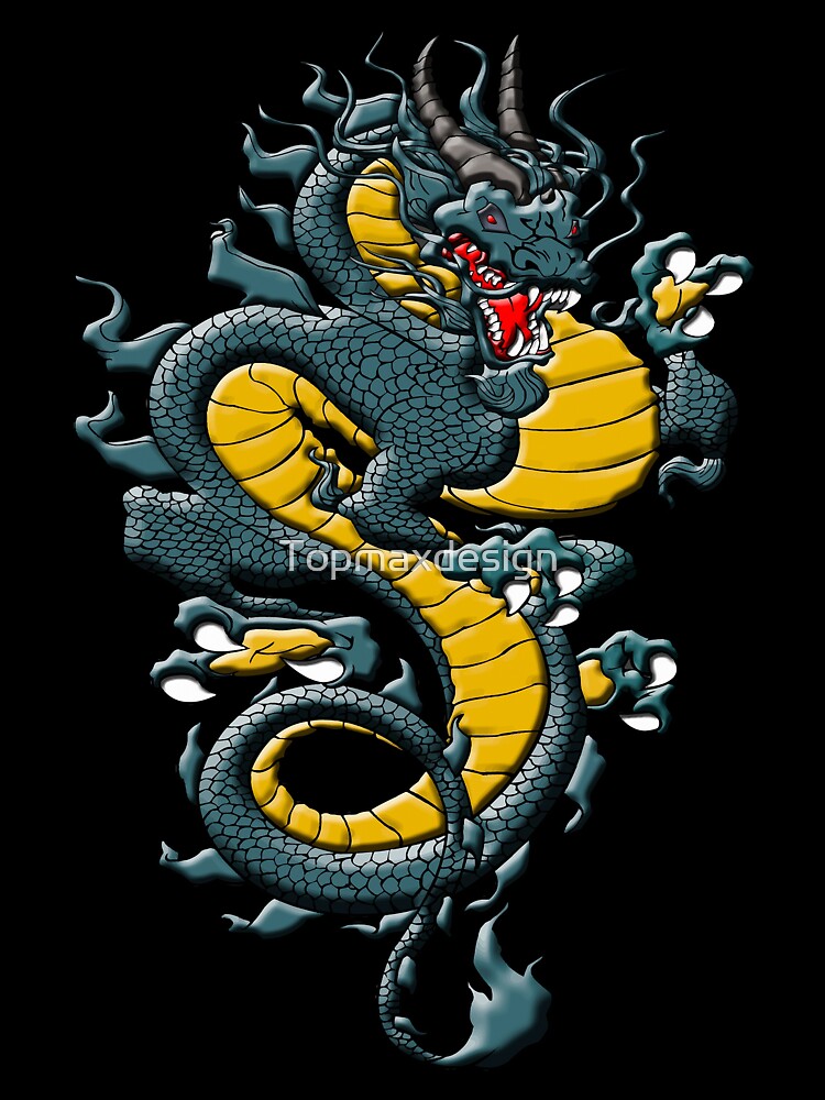 Abstract Chinese Dragon by Topmaxdesign