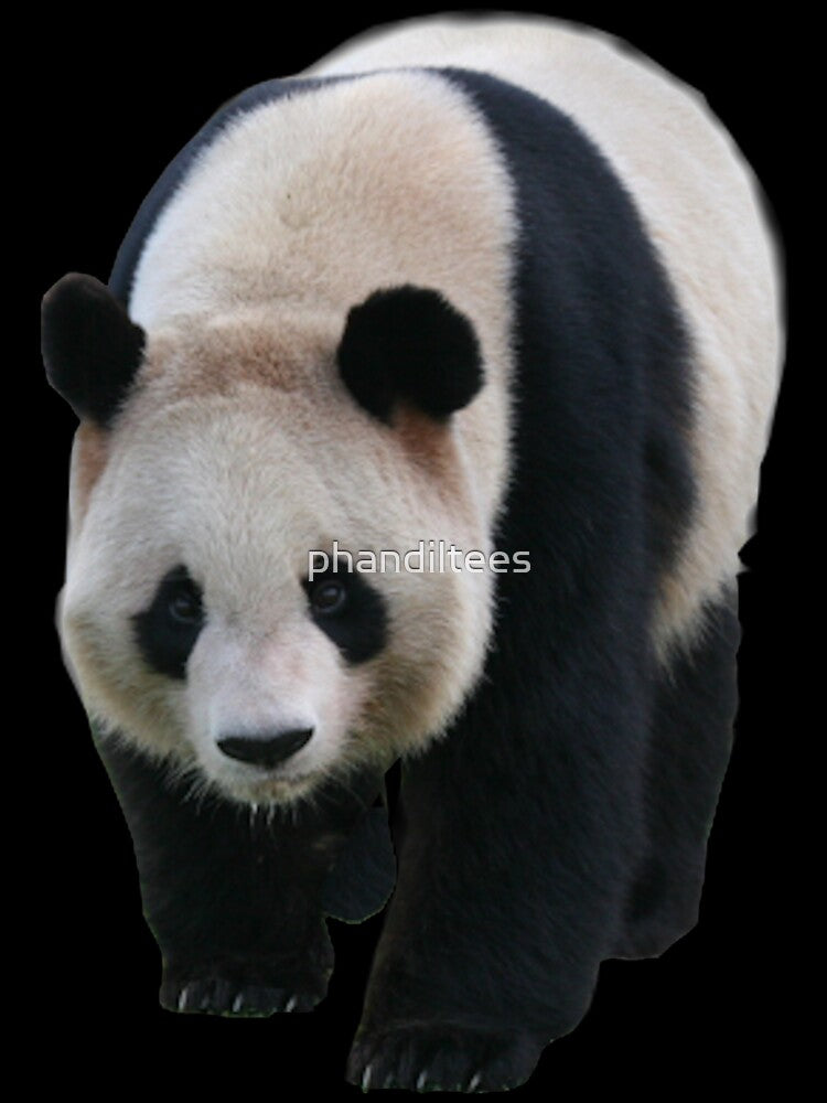 Panda by DoodleDashCollective