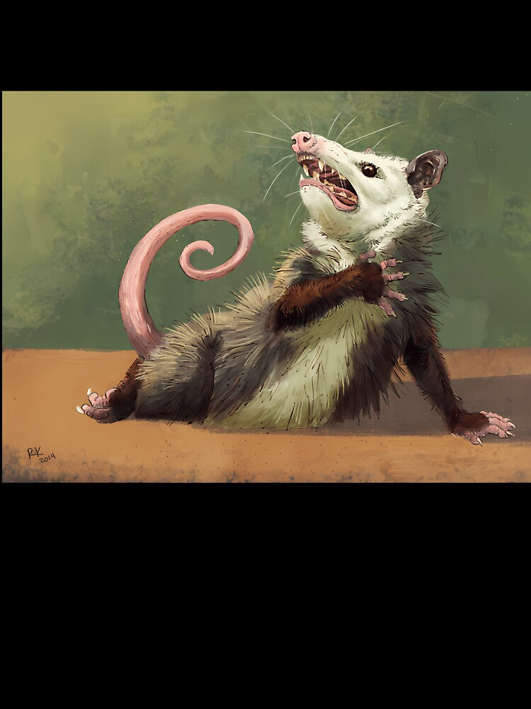 Amateur Opossum Actress by LoicThiessen