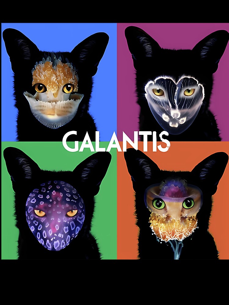 Galantis by NXTRNDUSA2025