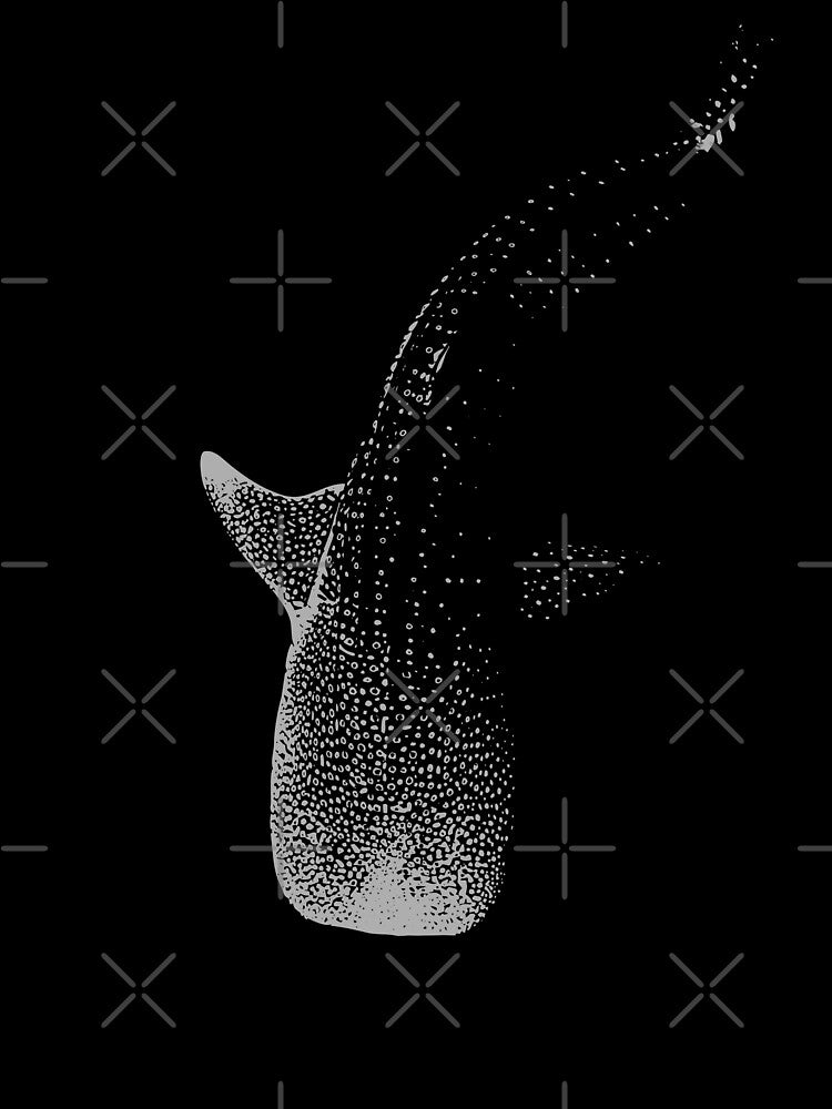 Whale Shark Rhincodon typus #1589 by TheAplus