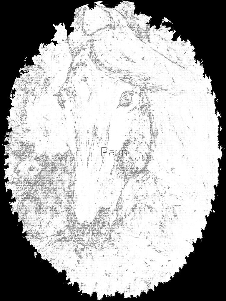 The Derby A by Paun