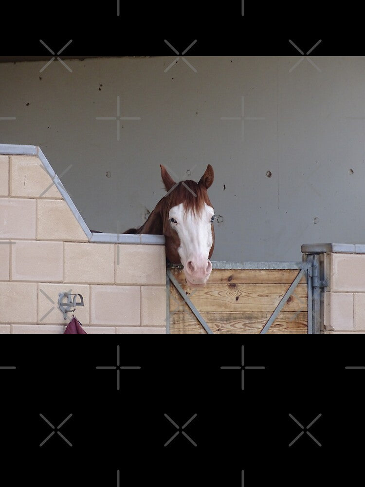 Horse, Horses, Horse mask, Horse socks, Horse mug, Horse travel mugs, by PicsByMi