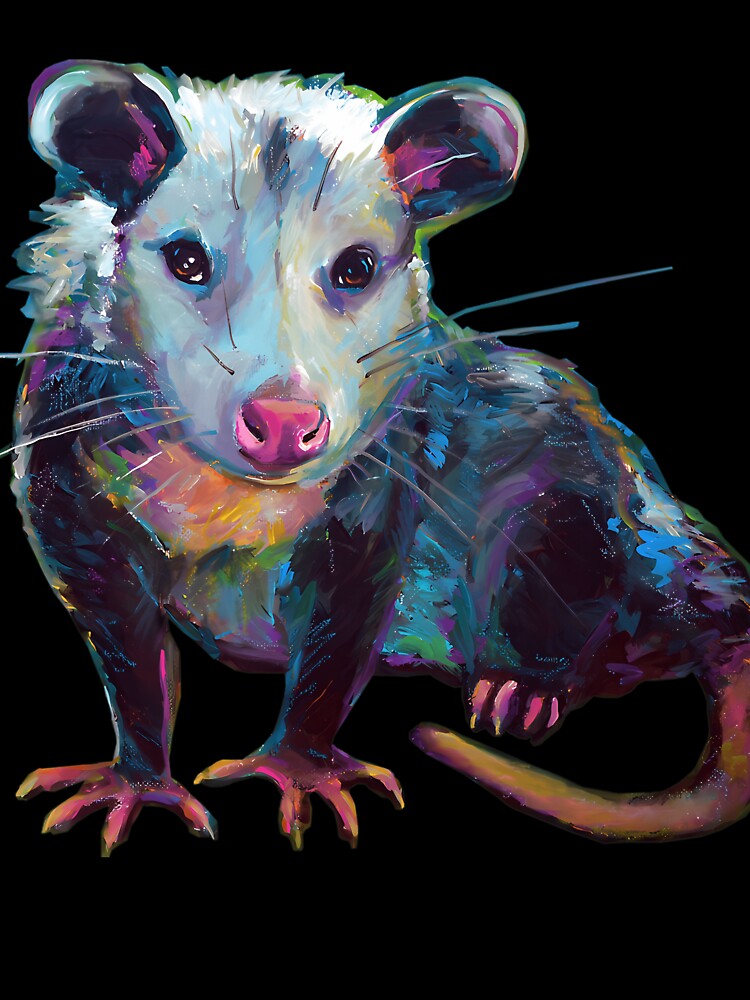 Cute Opossum By Robert Phelps by MurrayStricker