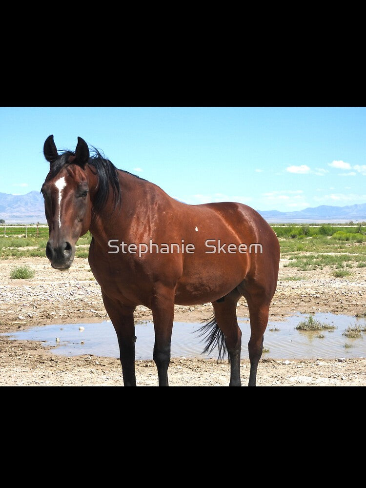 red horse red mustang by Stephanie  Skeem