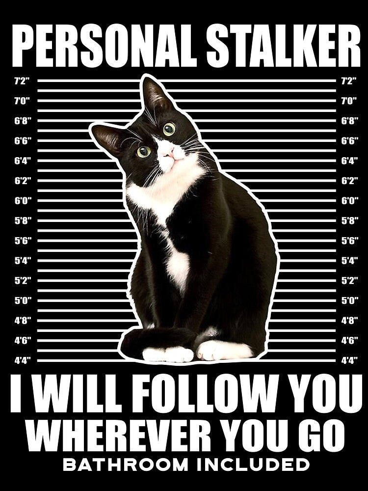 Tuxedo Cat Personal Stalker Funny Cat Kitten Lovers Gift by teest2209