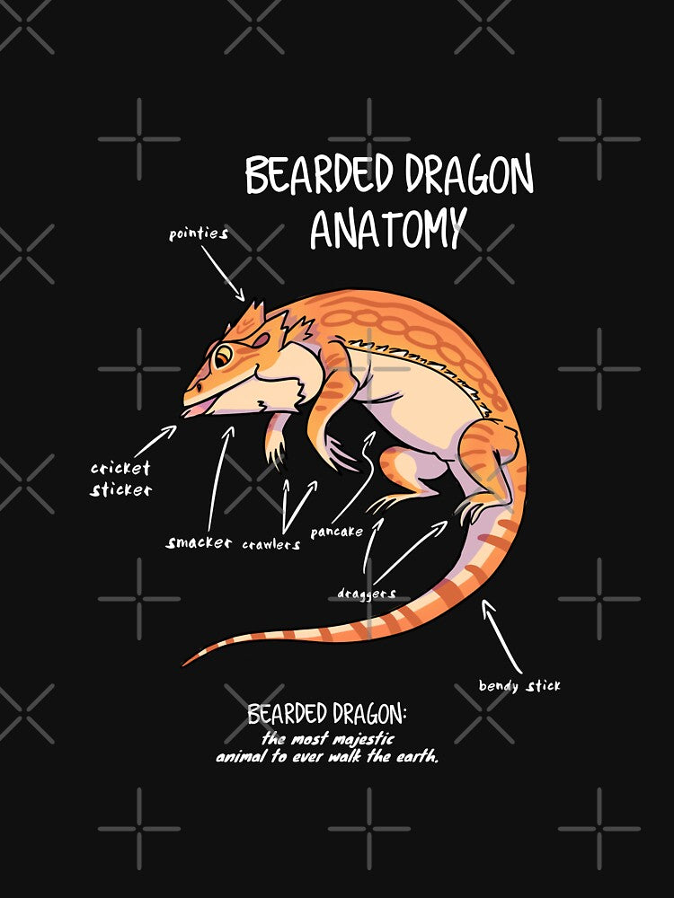 bearded dragon anatomy by AnimalArtist