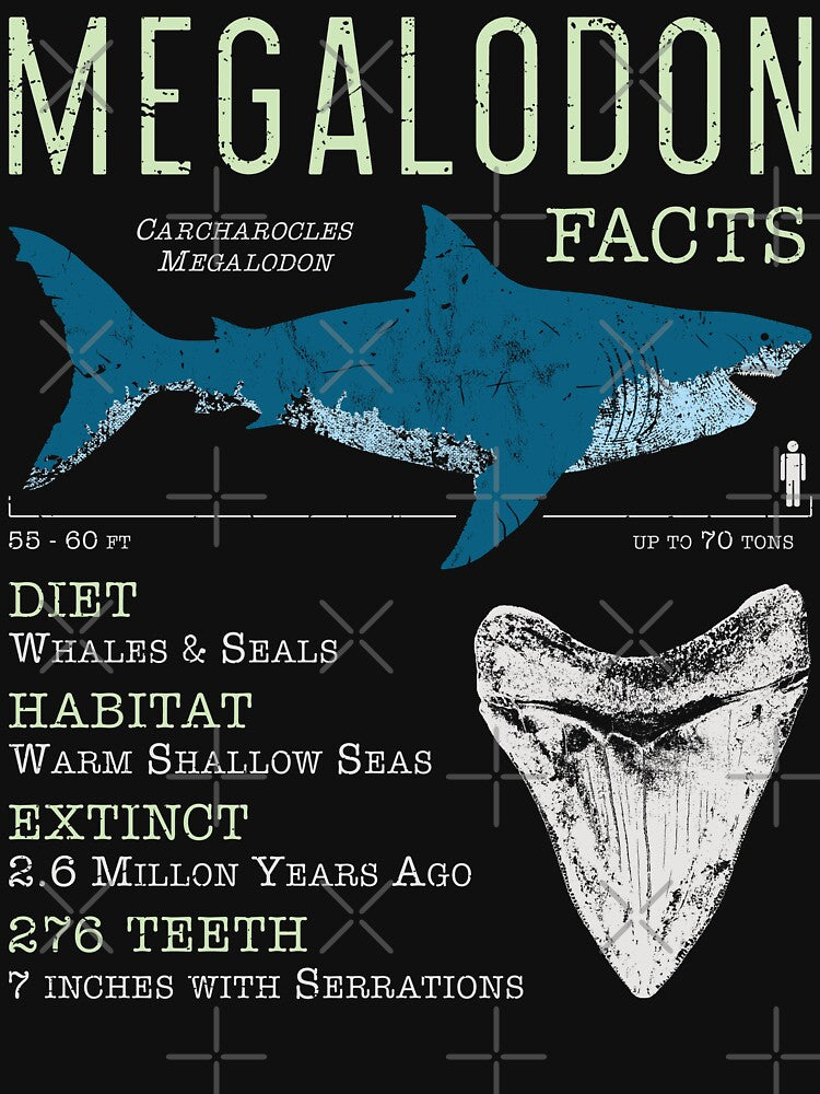 Megalodon Facts by IncognitoMode