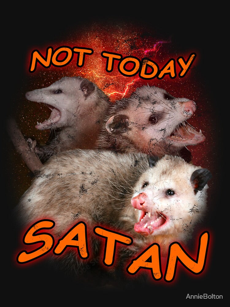 Not Today Satan Raccoons by AnnieBolton