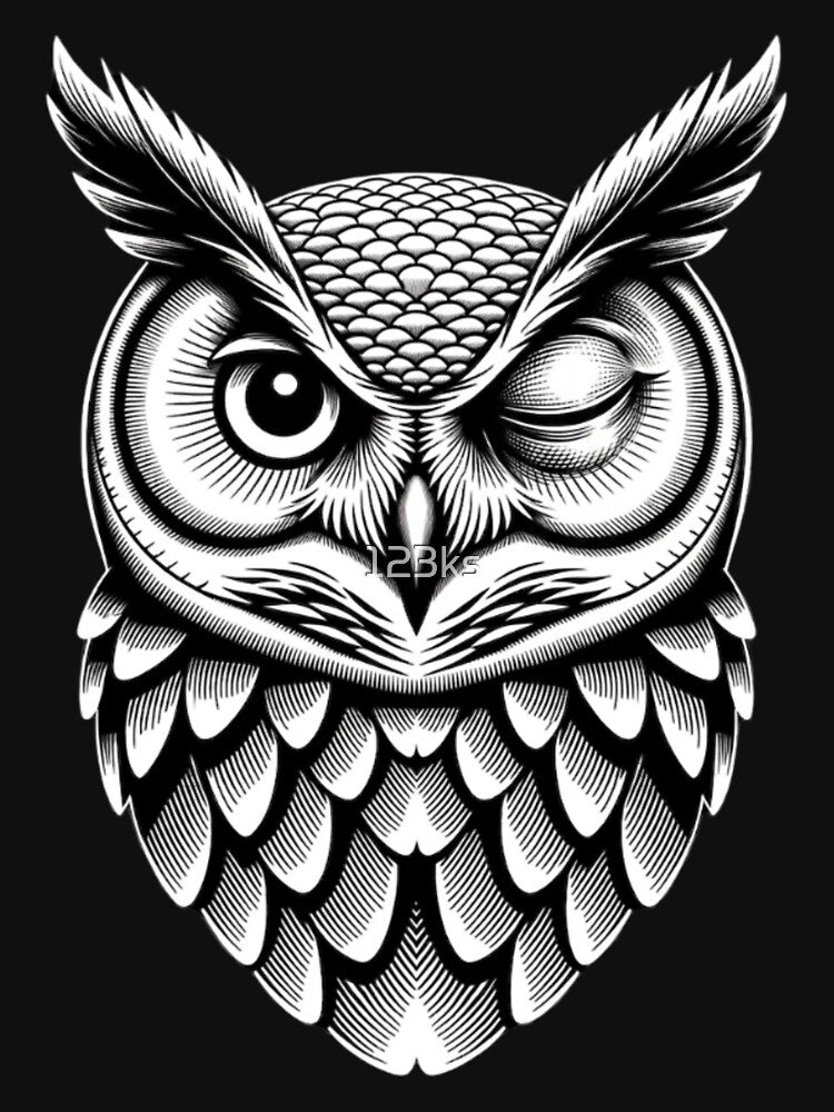 Cool Owl by 123ks