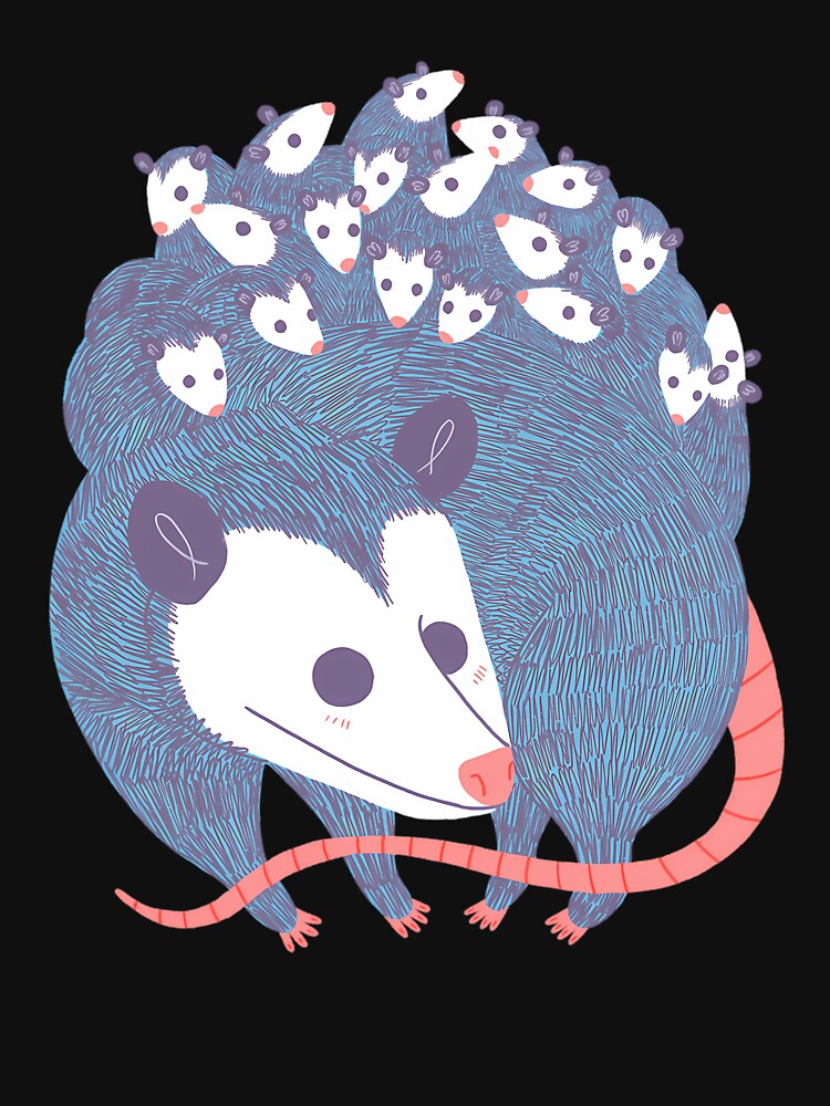 Awesome Opossum by MurrayStricker