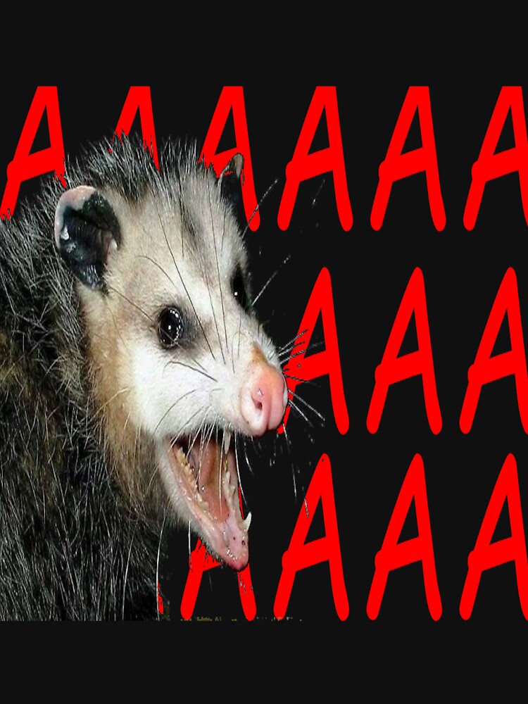 AAAAA POSSUM by royalblewitup