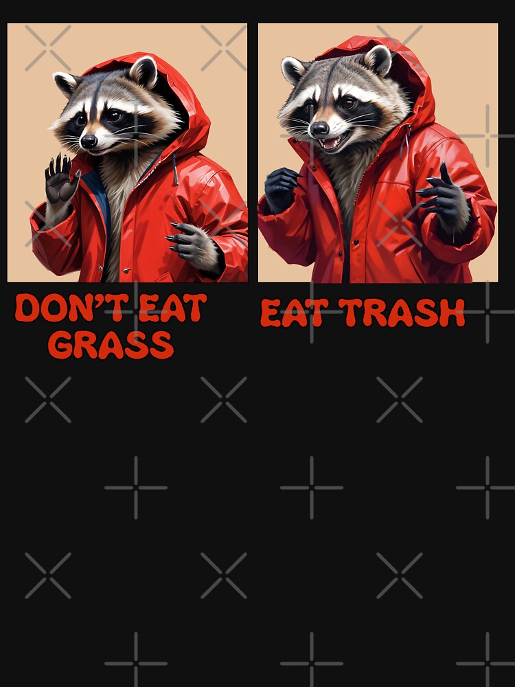 Funny raccoon Drake meme by TeeARTHY