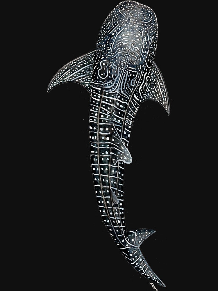 Whale shark for divers, shark lovers and fishermen by JayKingA