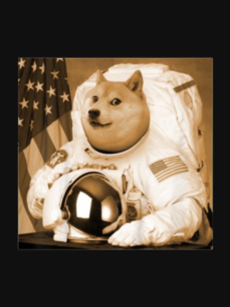 Dogecoin Moon Astronaut Cryptocurrency Shiba Inu Meme by JayeBraden