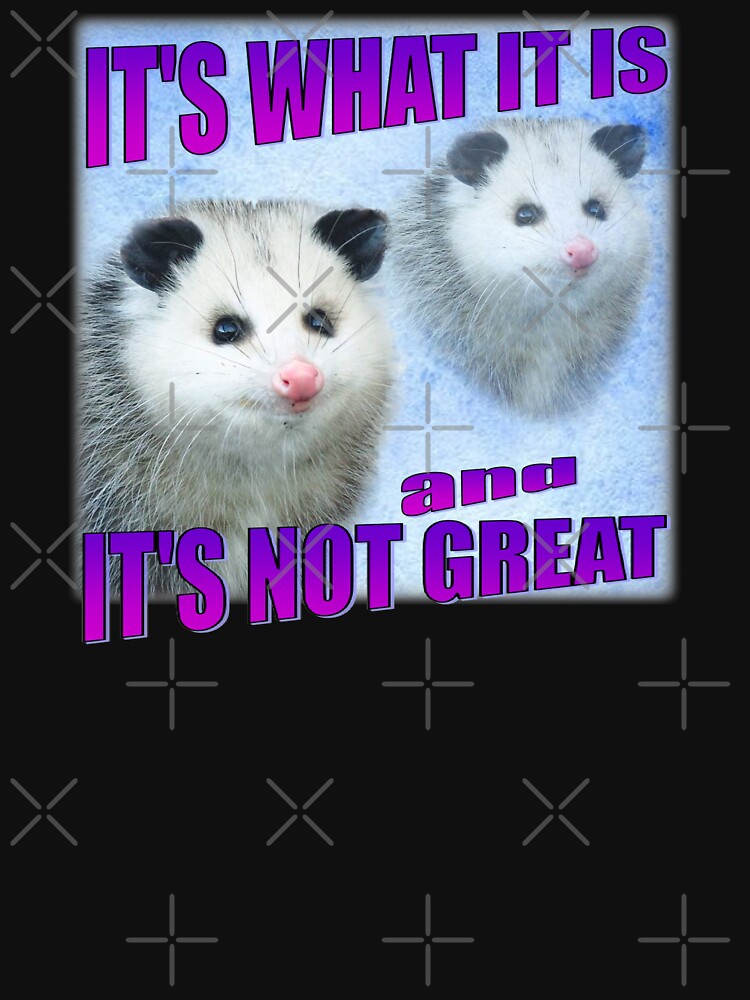 Its What Its and Its Not Great Funny Opossum by Liberty Loom  Designs