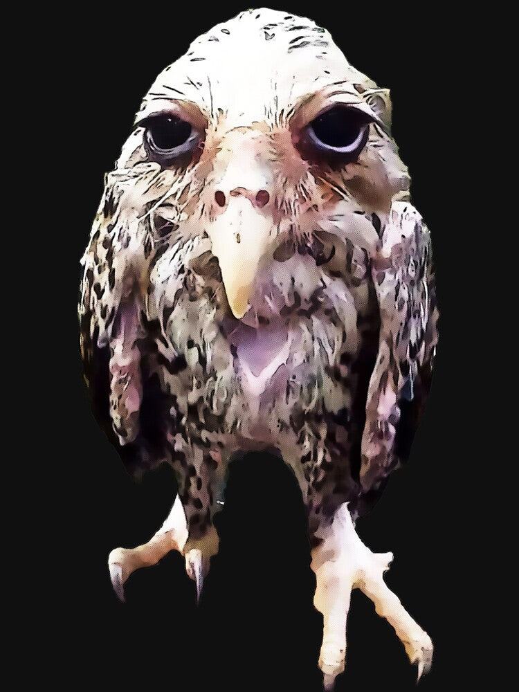 Wet Owl Meme Art by KemeDesign