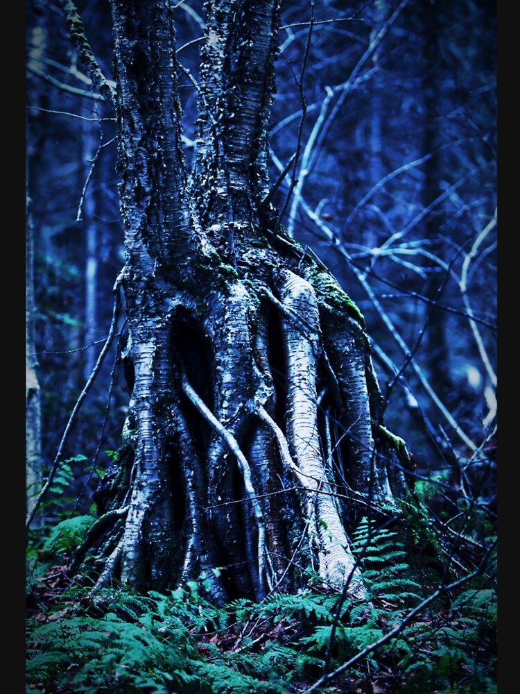 Tree by Picsorama