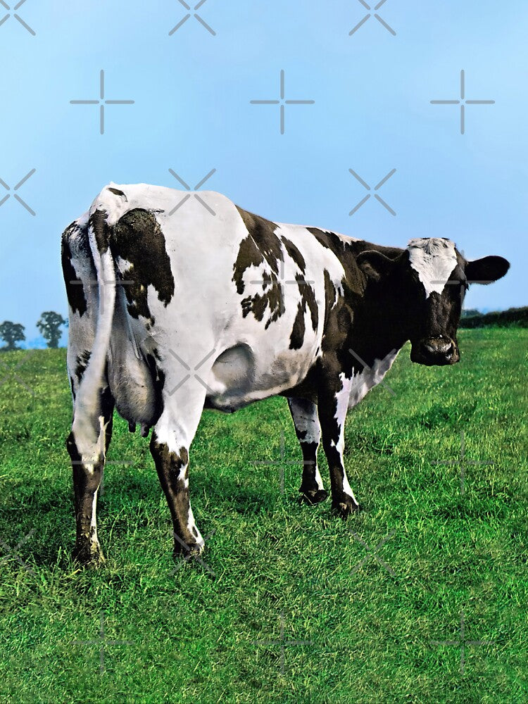 Atom Heart Mother (HQ) by Lucafoto