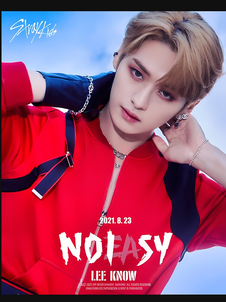 STRAY KIDS LEE KNOW - NO EASY by Krito-Hofstee