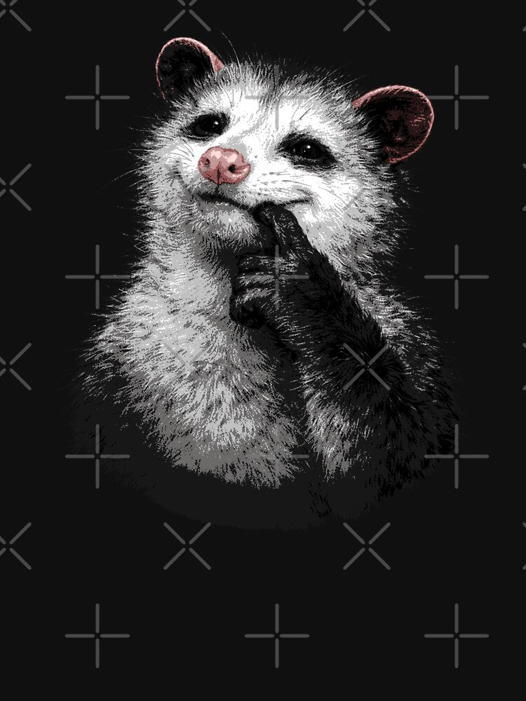 Funny Possum Meme Cheeky Opossum by trajeado14
