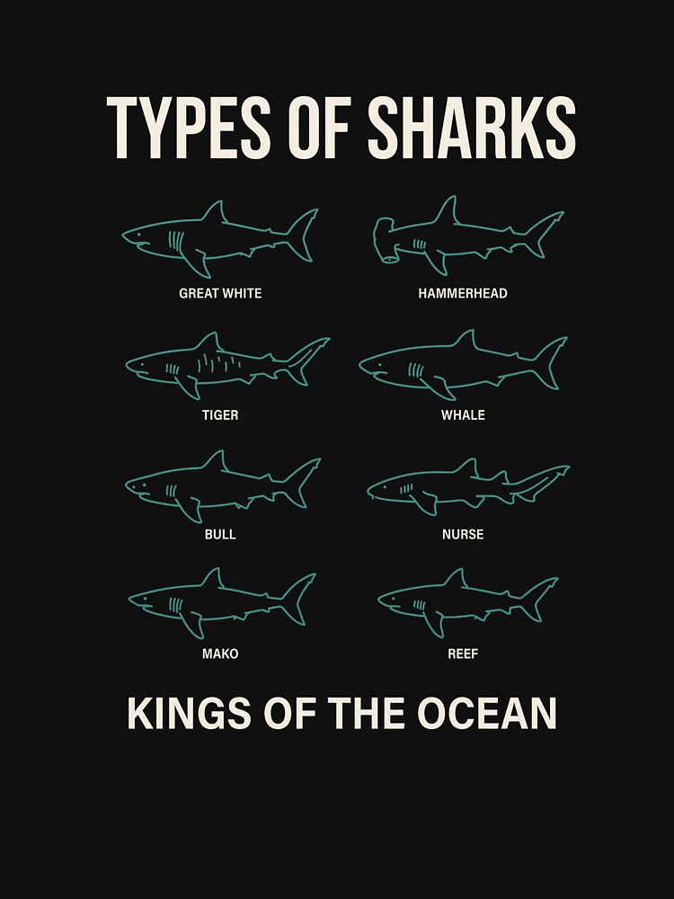 Types Of Sharks Kings Of The Ocean Marine Life Ocean Animal by SofenArt
