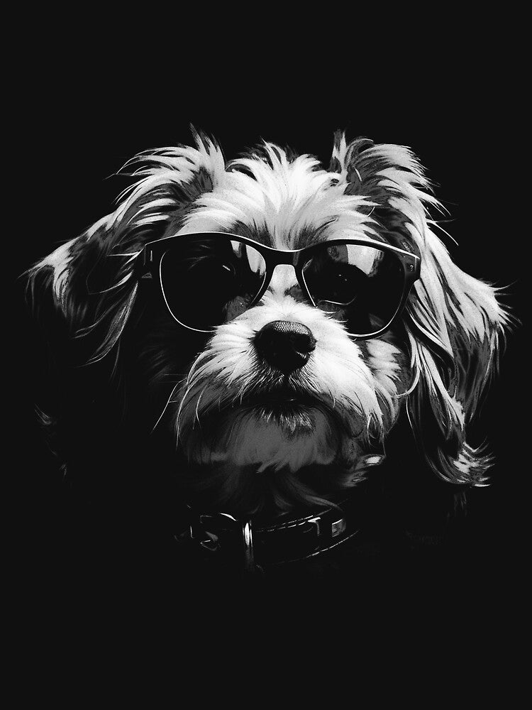 Black and White Dog with Sunglasses | Cool Dog Design by TurtleDojo