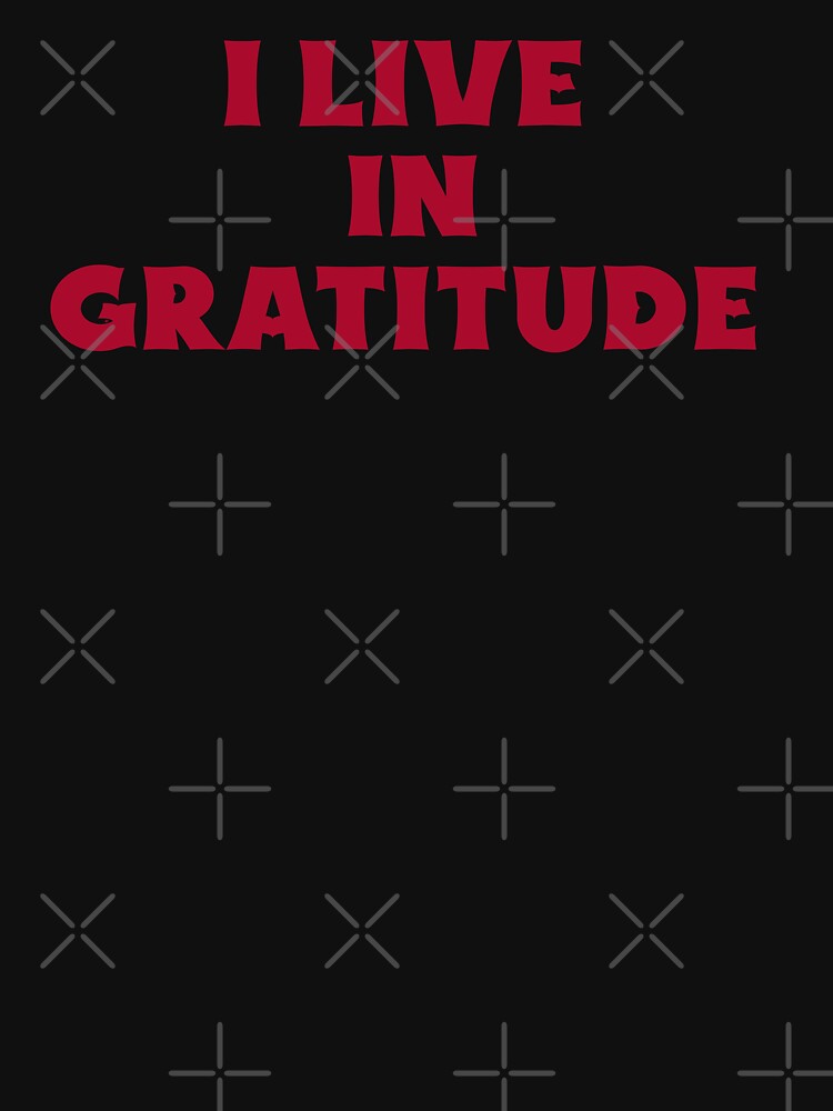 I Live In Gratitude by Salimah Haji