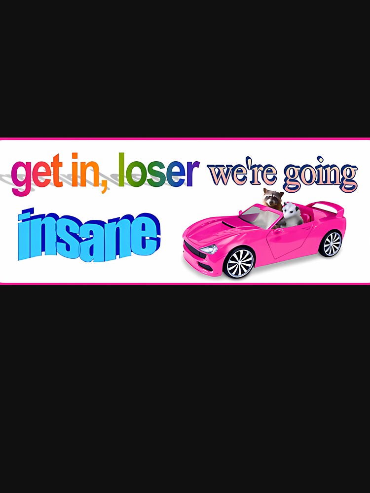 Get In Loser We'Re Going Insane Raccoon Possum Word Art by Kaleighcormack