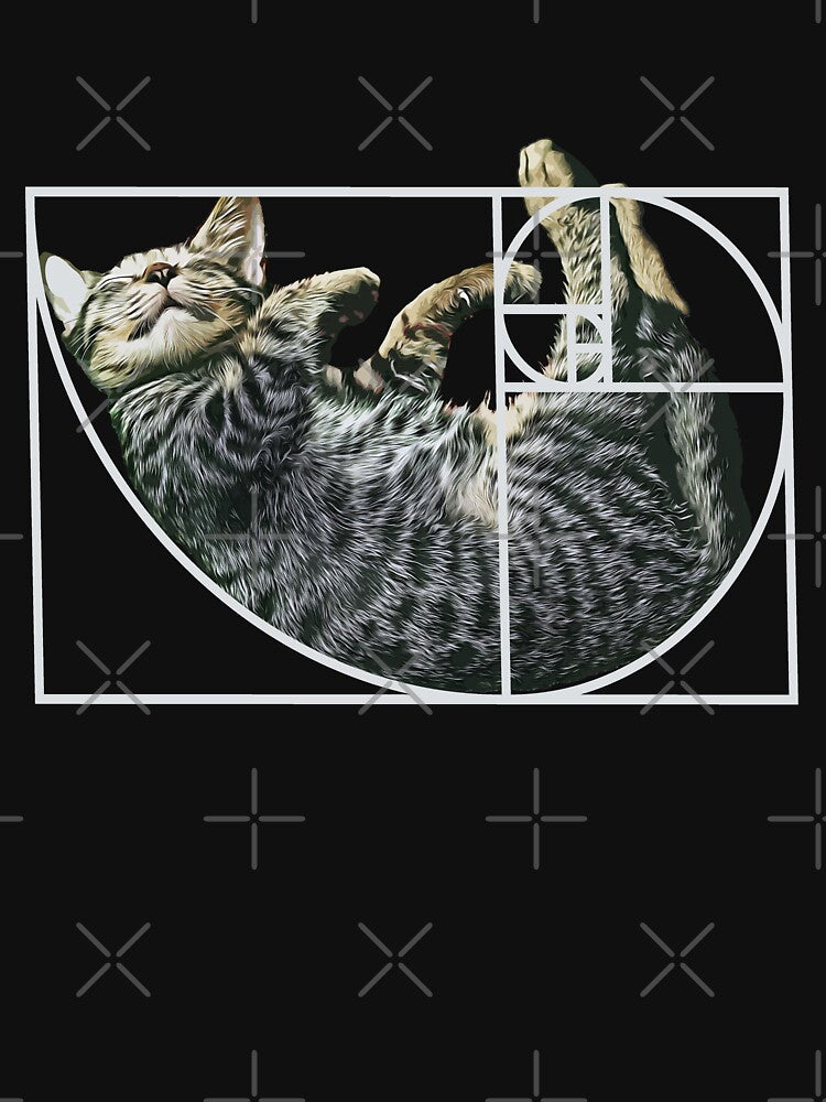 Golden Ratio Fibonacci Cat Fibonacci's Spiral Kitty by Digital Story Time