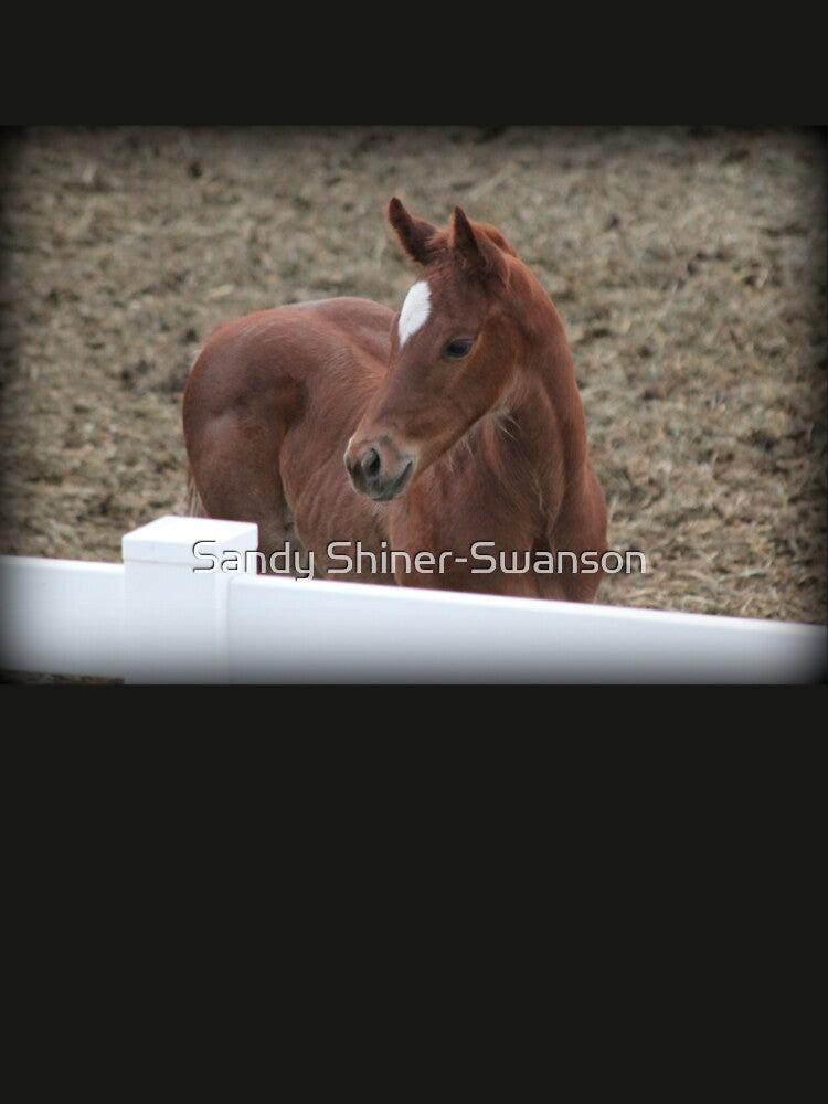 Little Ichabod by Sandy Shiner-Swanson