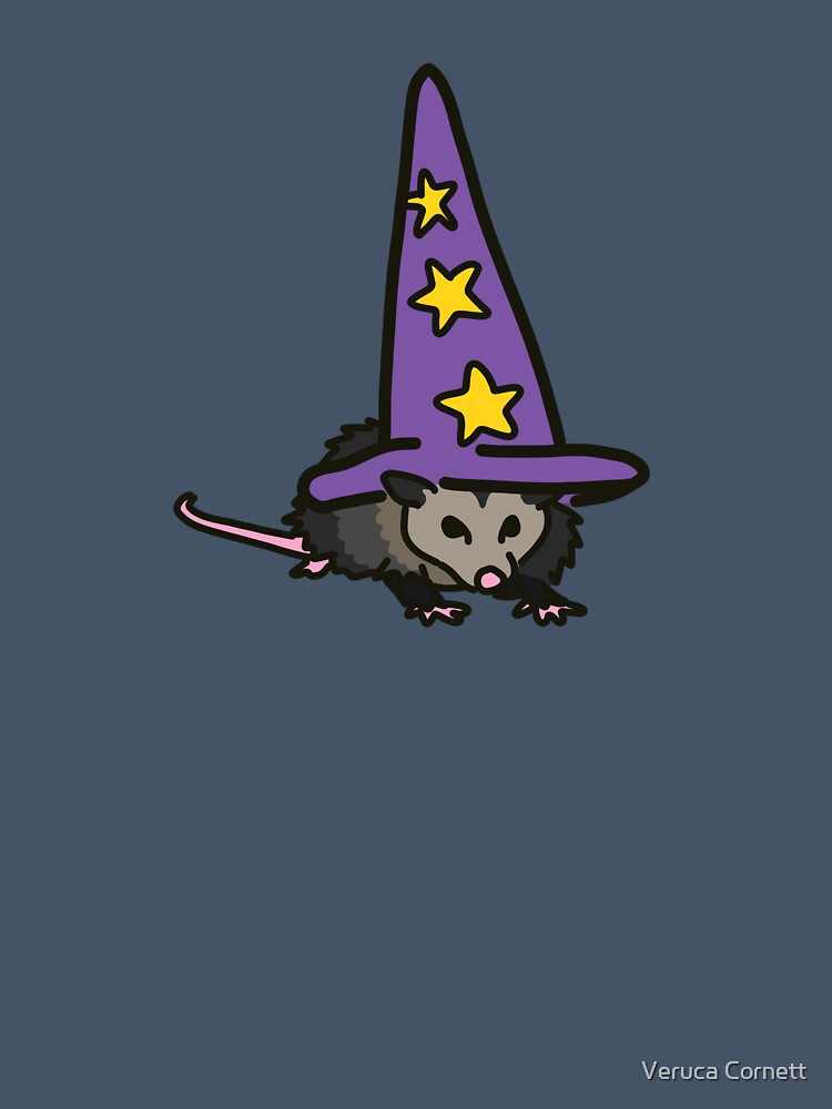 Opossum Wizard by Cool Gal, Cool Cats