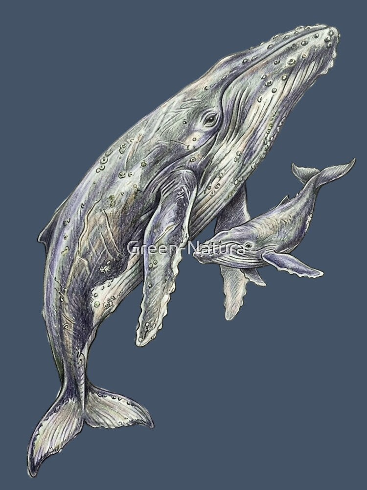 Marine illustration: Mother humpback whale and her calf by Green-Natura