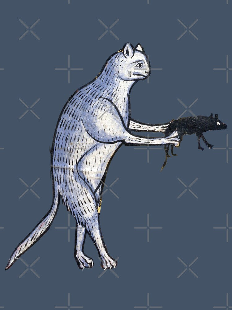 Ugly medieval cat - armed and dangerous cat with rat by Grey House