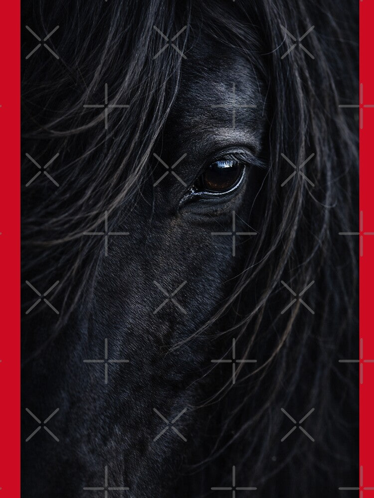 Black horse Majestic close up by LuluLeb