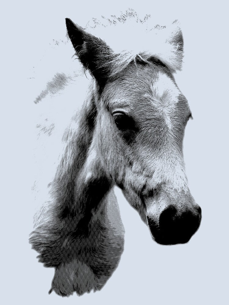 Horse Face and Head. Digital Farm Animal Engraving Image by Digital Eclectica