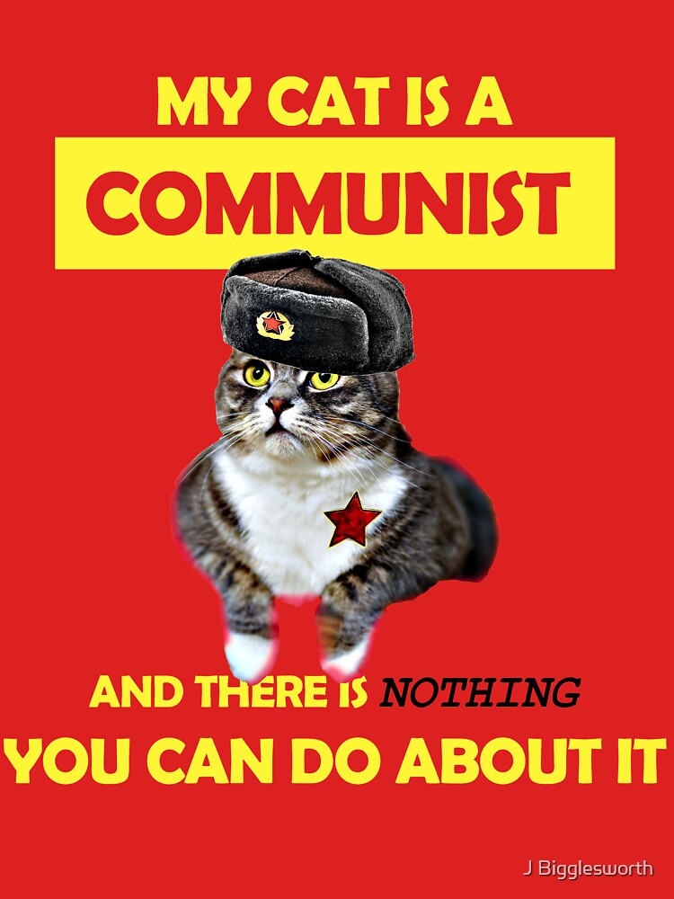 My Cat Is A Communist, Nothing You Can Do About It- Soviet Cat by J Bigglesworth