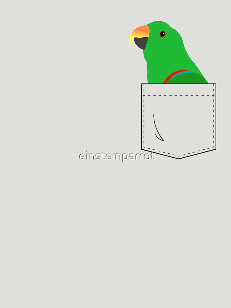 Eclectus Male Parrot In Your Front Pocket by einsteinparrot