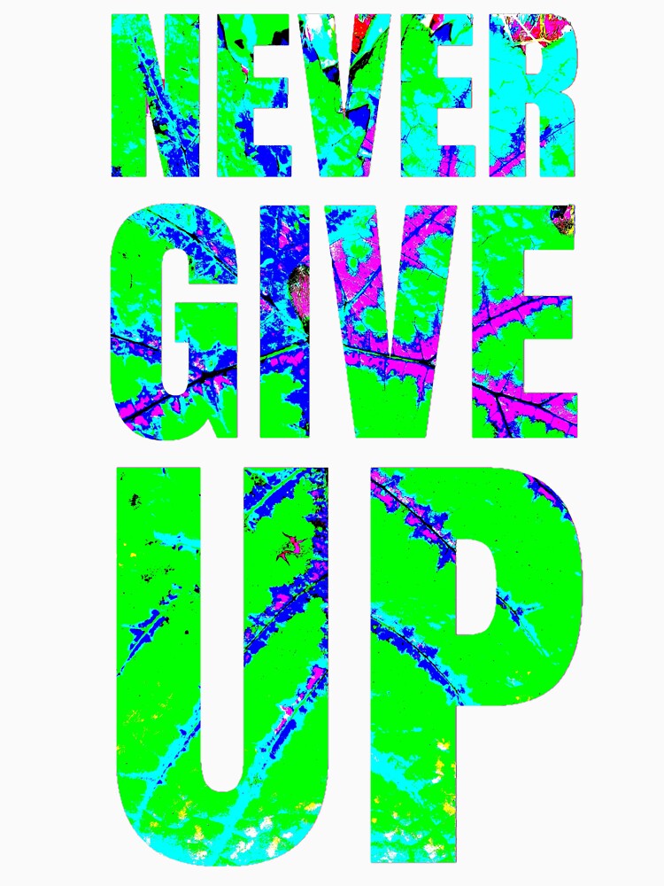 Never Give Up by Make Life Beautiful