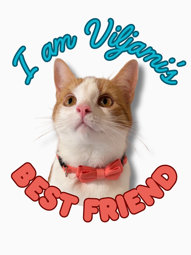 I am Viljami’s Best Friend by Grumpy and Orange
