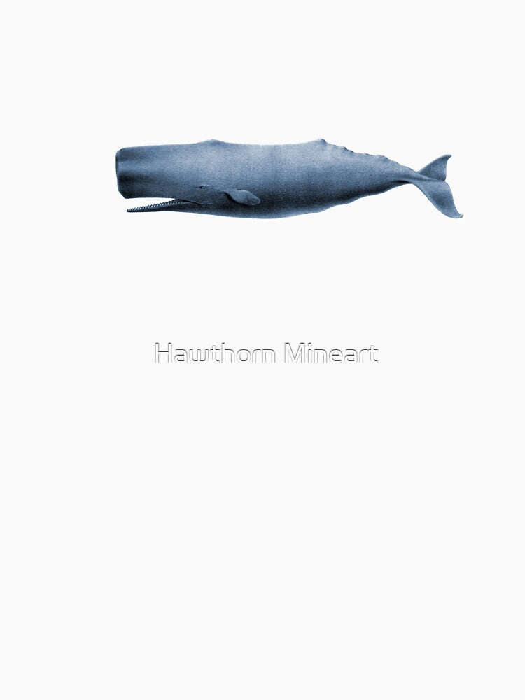 Whale by Hawthorn Mineart