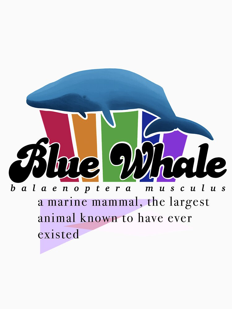 Blue Whale fact card by bleachersbracelets