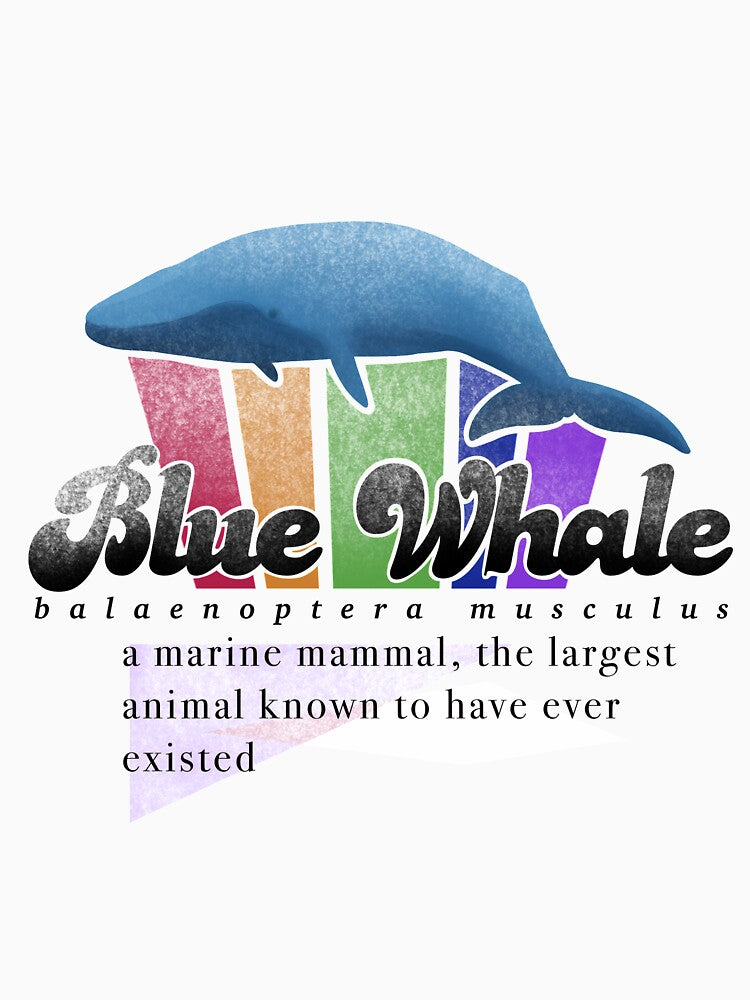 Faded Blue Whale fact card by bleachersbracelets